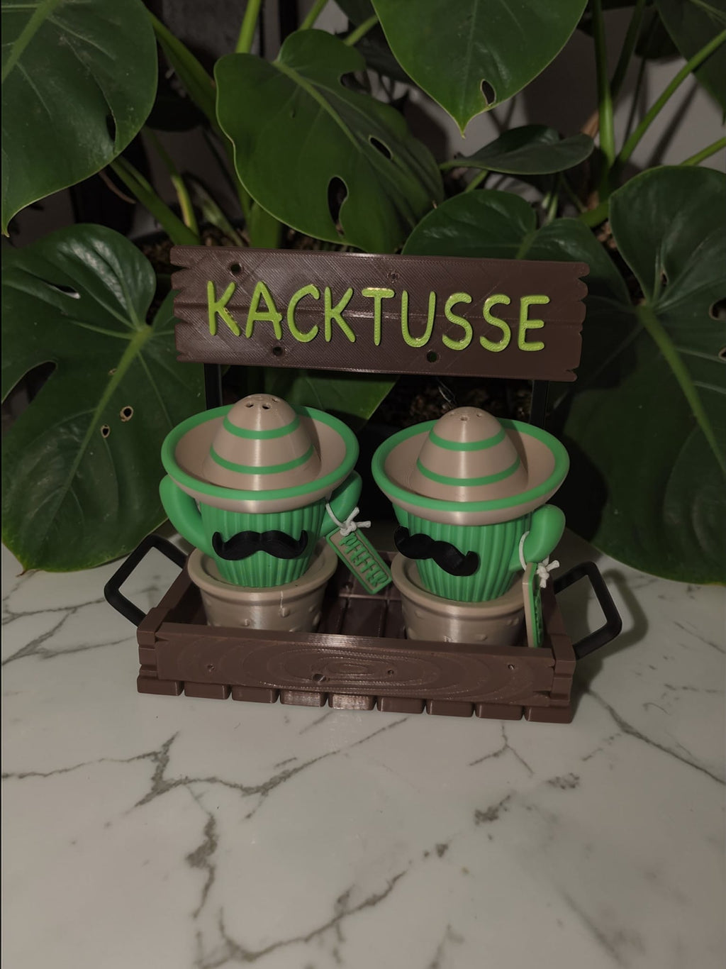 🌵😂 Kaktus Gewürz-Set – Individuell & Einzigartig